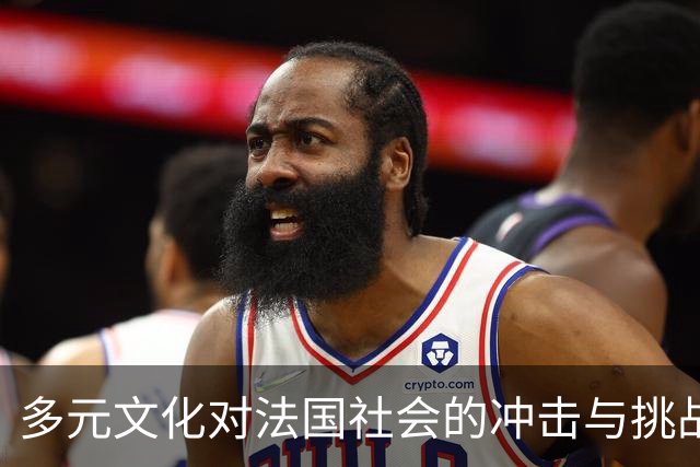 多元文化对法国社会的冲击与挑战